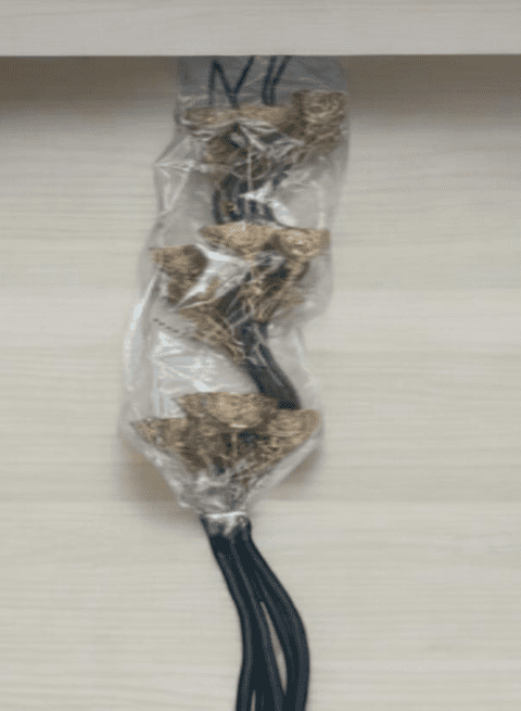 Decorative Natural Sticks for flower arrangement, plant, accessories, flowers Aacc337