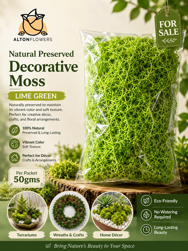 Moss Natural, decoration, home decor, events