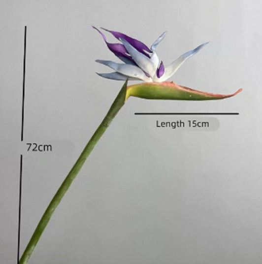 Flower Bird of Paradise Rubber Afaux167 - Alton Flowers