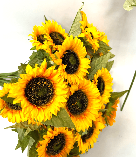 Flower Sunflower x 3 Afaux519