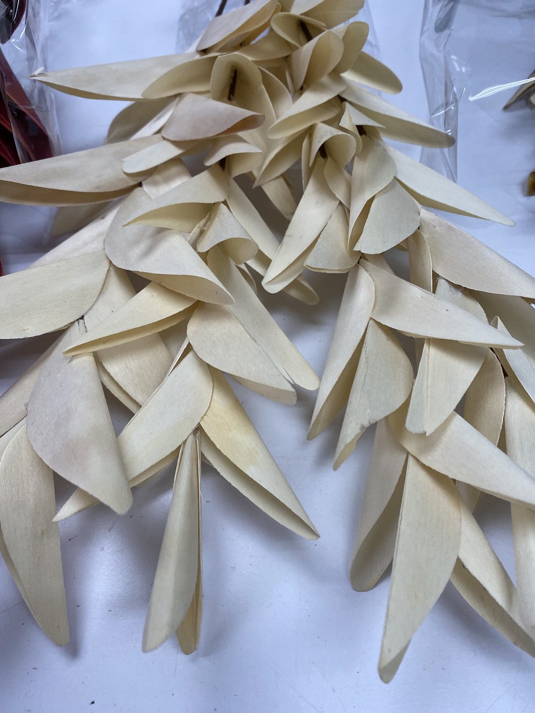 Flower Dry Leaves x4 pcs per packet, home decor, natural, garden, eventsAfaux579