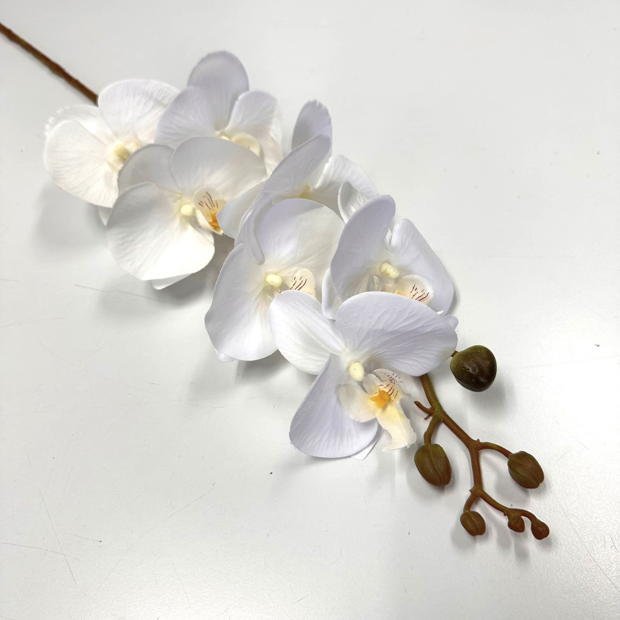 Flower Orchids phalaenopsis x2 stalks Artificial set in ceramic pot AAA574