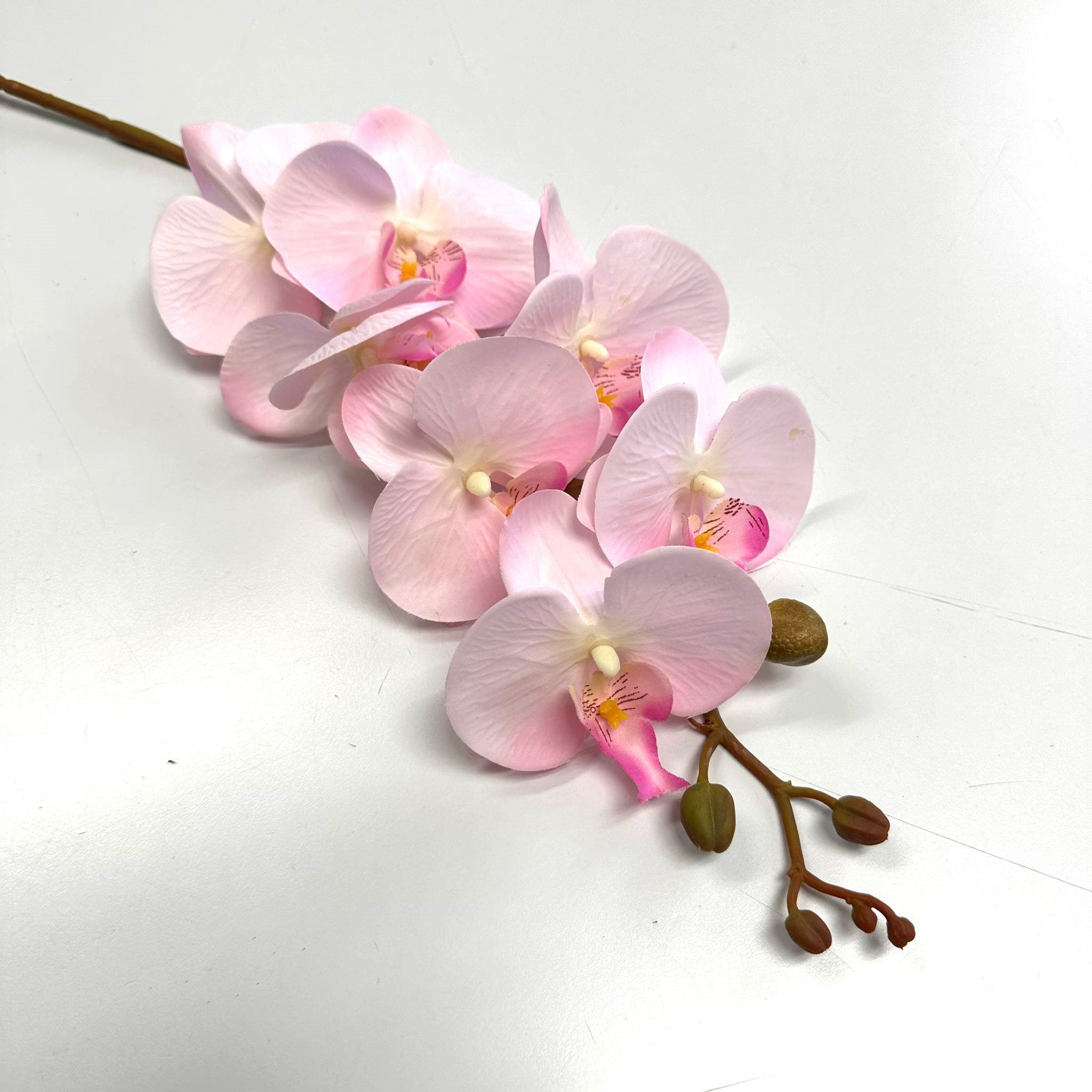 Flower Orchids phalaenopsis x2 stalks Artificial set in ceramic pot AAA574