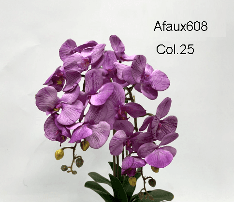 Afaux608 Col.25 Lavender