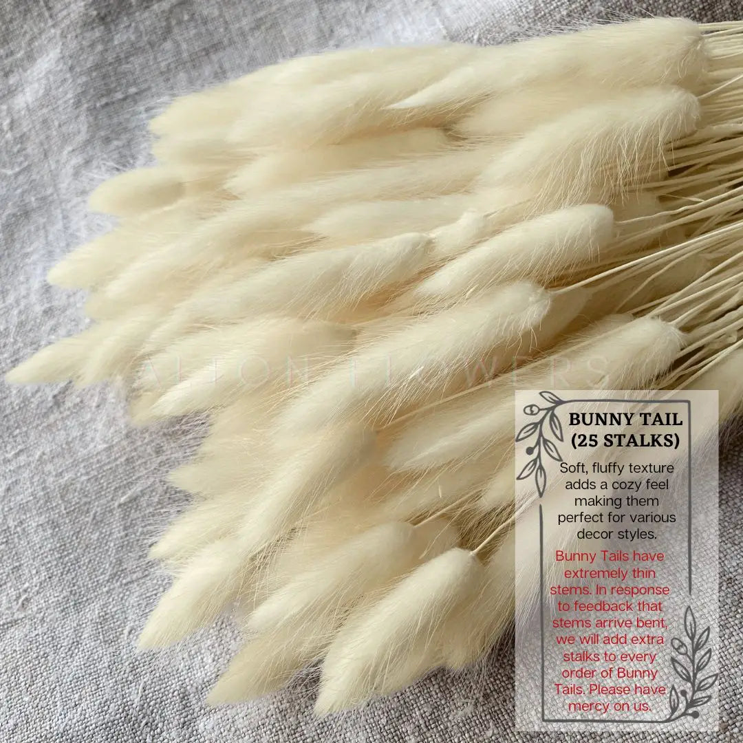 Flowers Bunny Tails (Dried flowers) home decor, events Afaux678