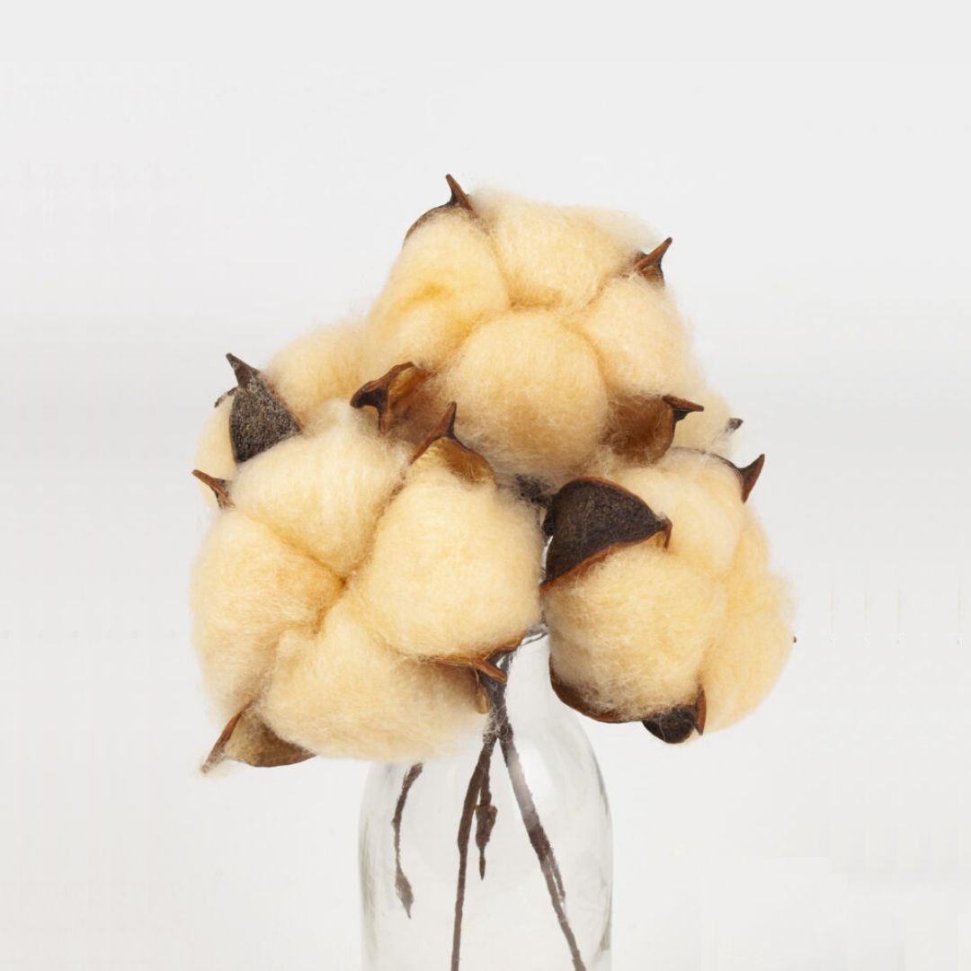 Dried Cotton Flower Stems (10 Stalks) Dried Flowers and Foliages home decor, arrangement, events AFaux716