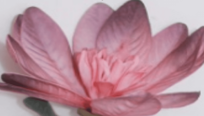 Flower Handwrapped Magnolia Large Single, home decor, events, gardens Afaux753