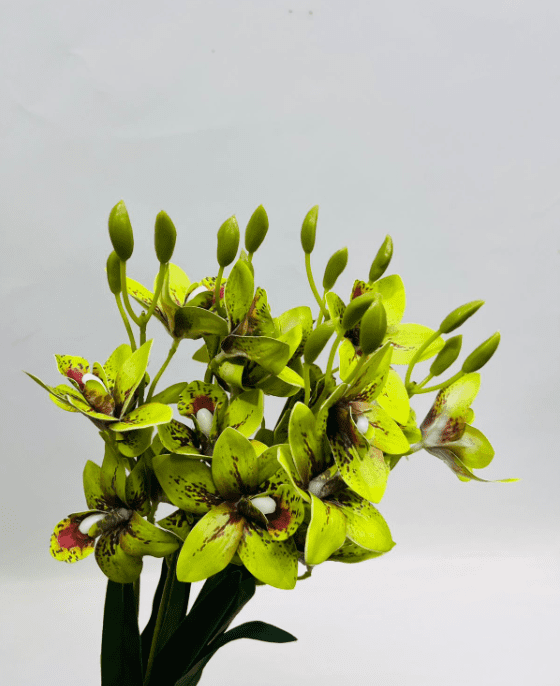 Artificial Cymbidium Orchid Bush – 55cm Faux Orchid Bouquet, 8 Colors Afaux806