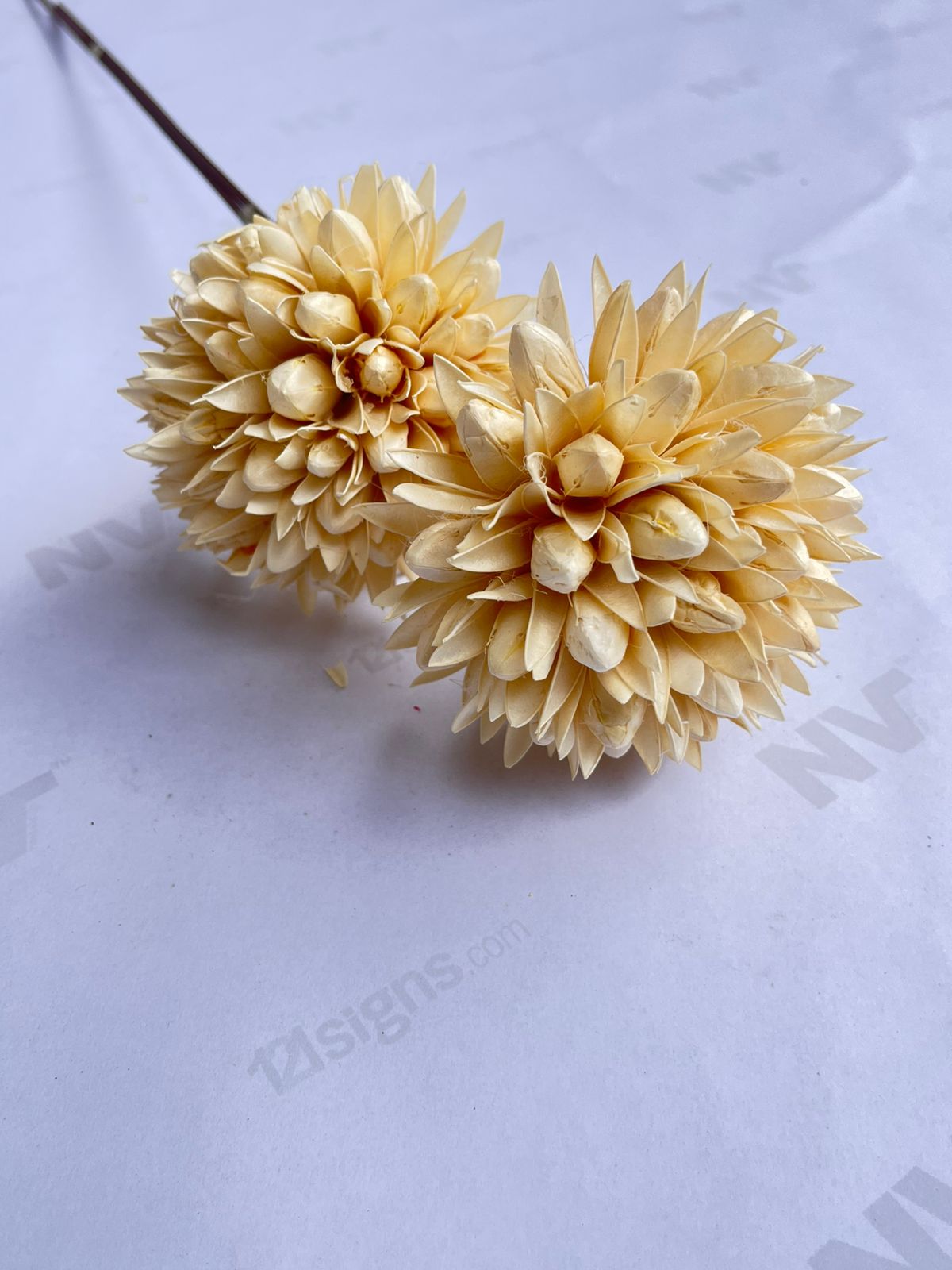 Dried Flowers for home decor, events Afaux807