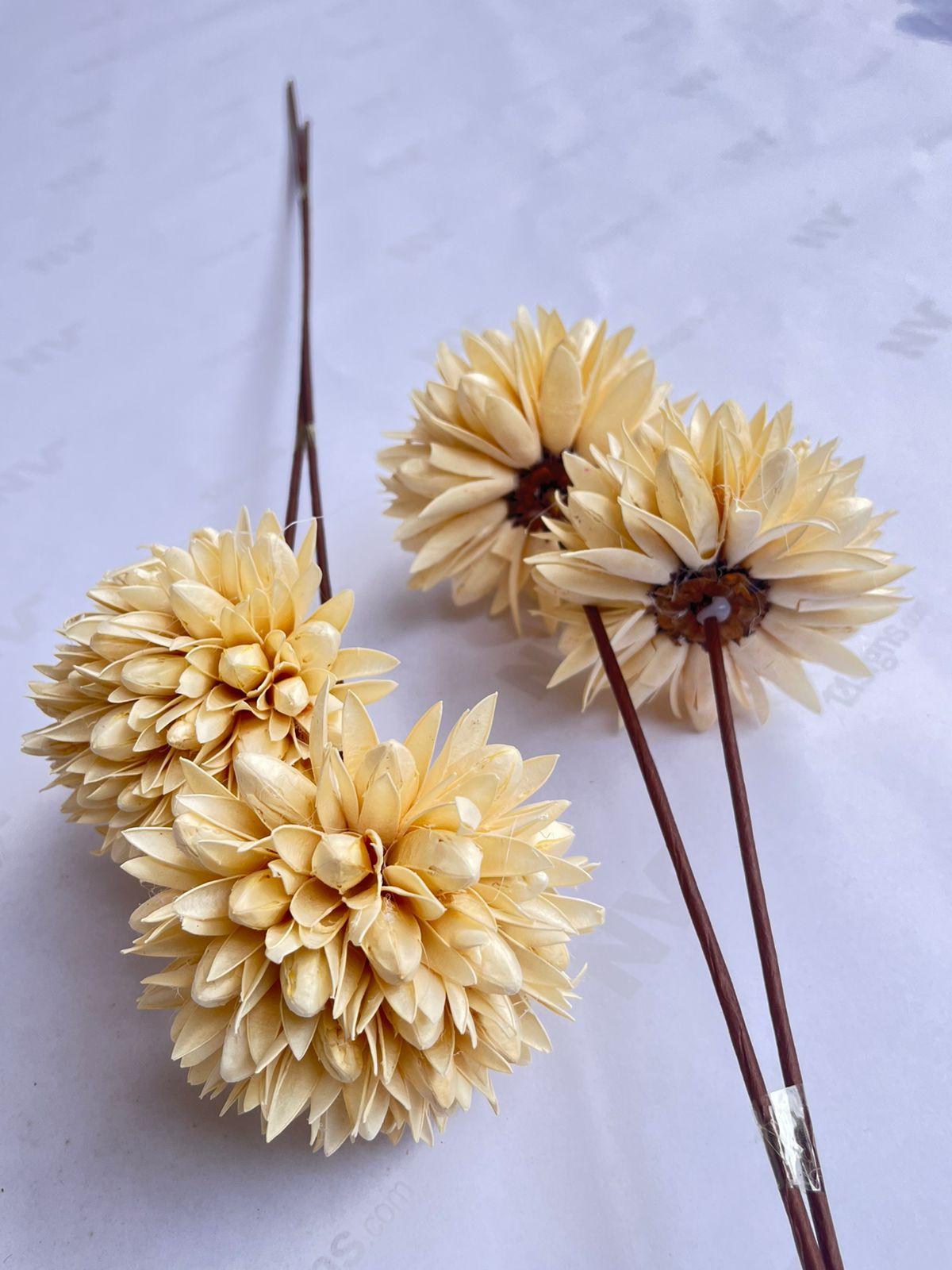 Dried Flowers for home decor, events Afaux807