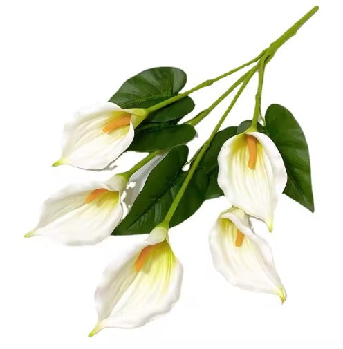 White flowers with green leaves on a white background