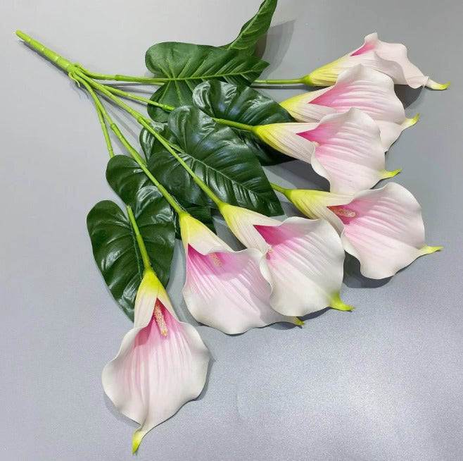 Flower, Calla Lilies Flowers Bush, flower arrangements, folages, plants home decor, gardens, events Afaux824