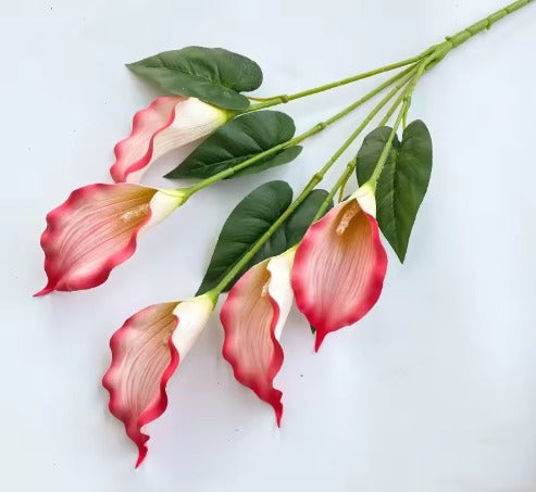 Flower, Calla Lilies Flowers Bush, flower arrangements, folages, plants home decor, gardens, events Afaux824