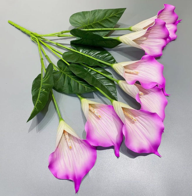 Flower, Calla Lilies Flowers Bush, flower arrangements, folages, plants home decor, gardens, events Afaux824