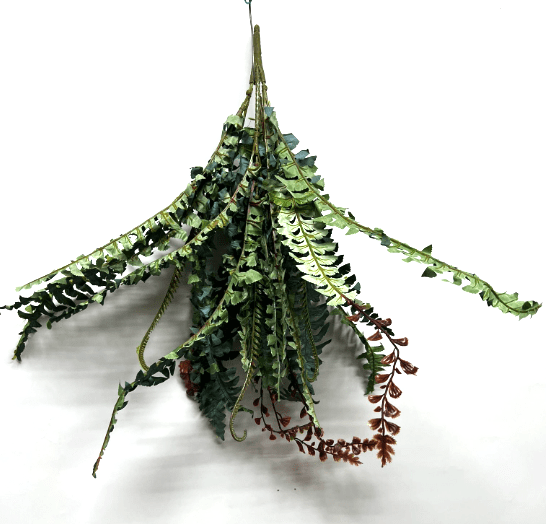 Plant Artificial Conifer Ferns