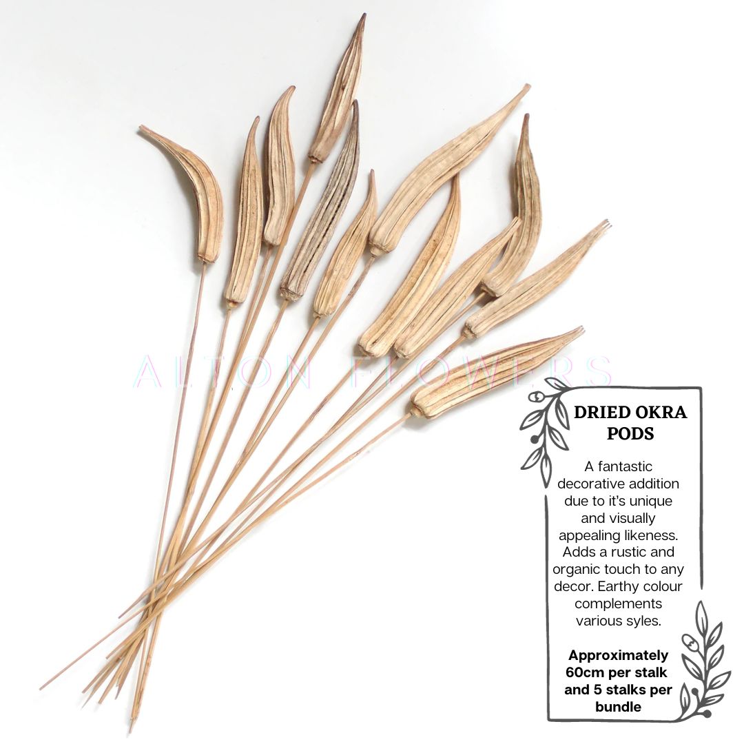 Dried Okra Pods (5 Sticks ) on Stems 60cm: Rustic Decor with a Natural Touch Afoil0130