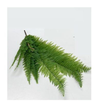 Ferns Northern Lady, artificial, home decor, garden, flowers Afoil027