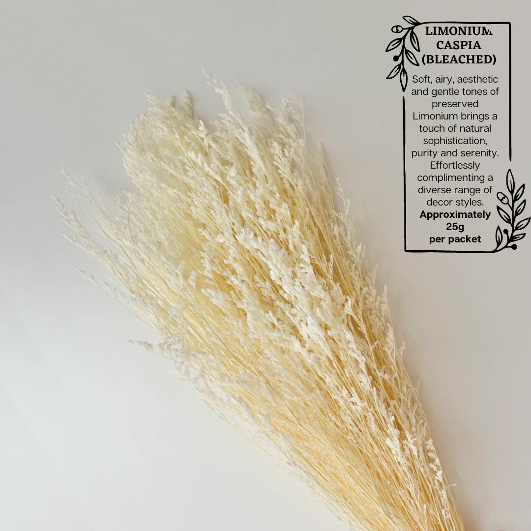 Dried Limonium Flowers (30g) preserved, dried flowers, home deco, events Afoil034