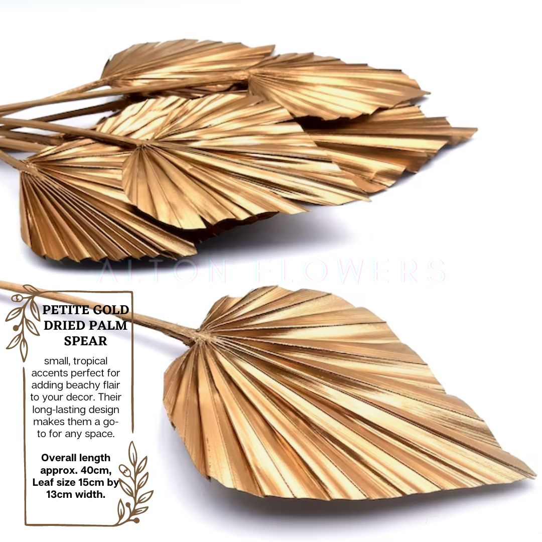 Dried Mini Gold Palm Spear, preserved leaf, dried, home decor, event Afoil035a