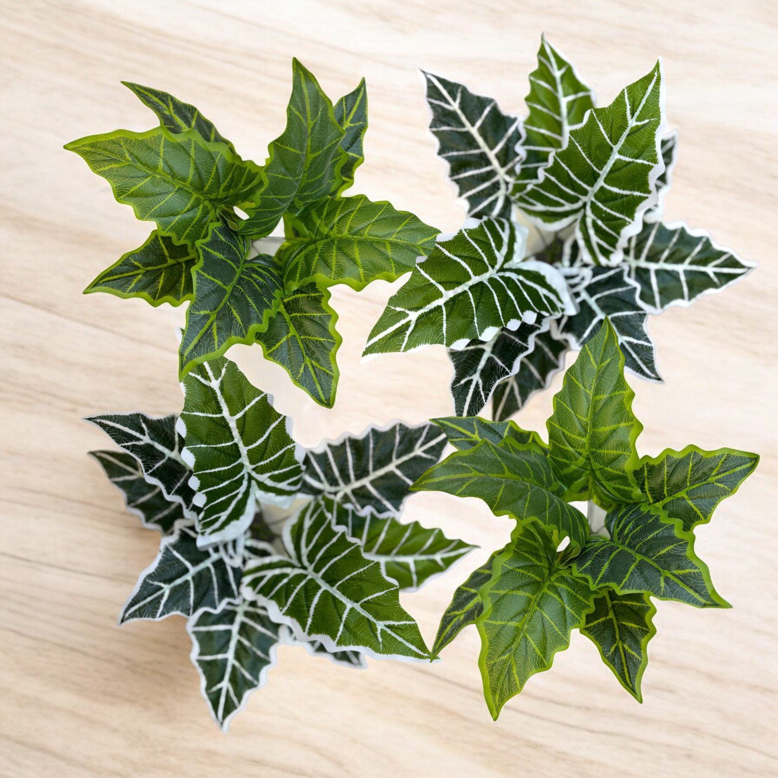 Plant Alocasia Frydek artificial without pot, home decor, indoor, garden Afoil045