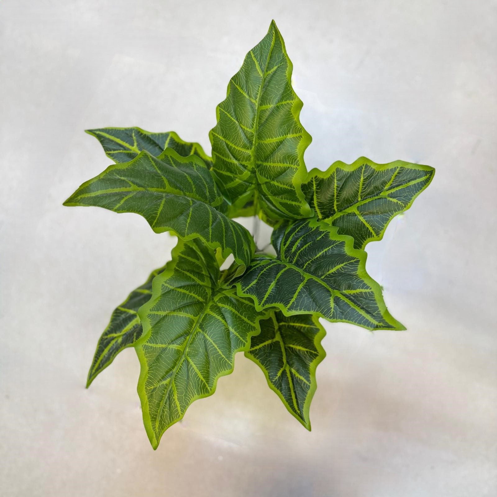 Plant Alocasia Frydek artificial without pot, home decor, indoor, garden Afoil045