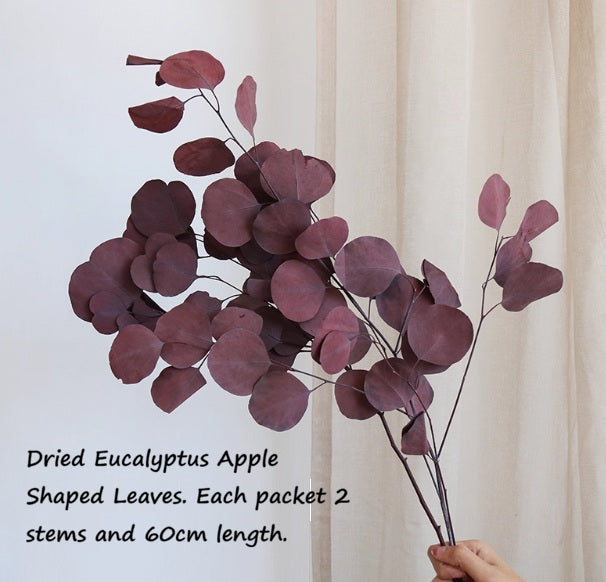 Dried Eucalyptus Apple Shaped Leaves in a deep reddish-purple color, bundled as a decorative home decor item.