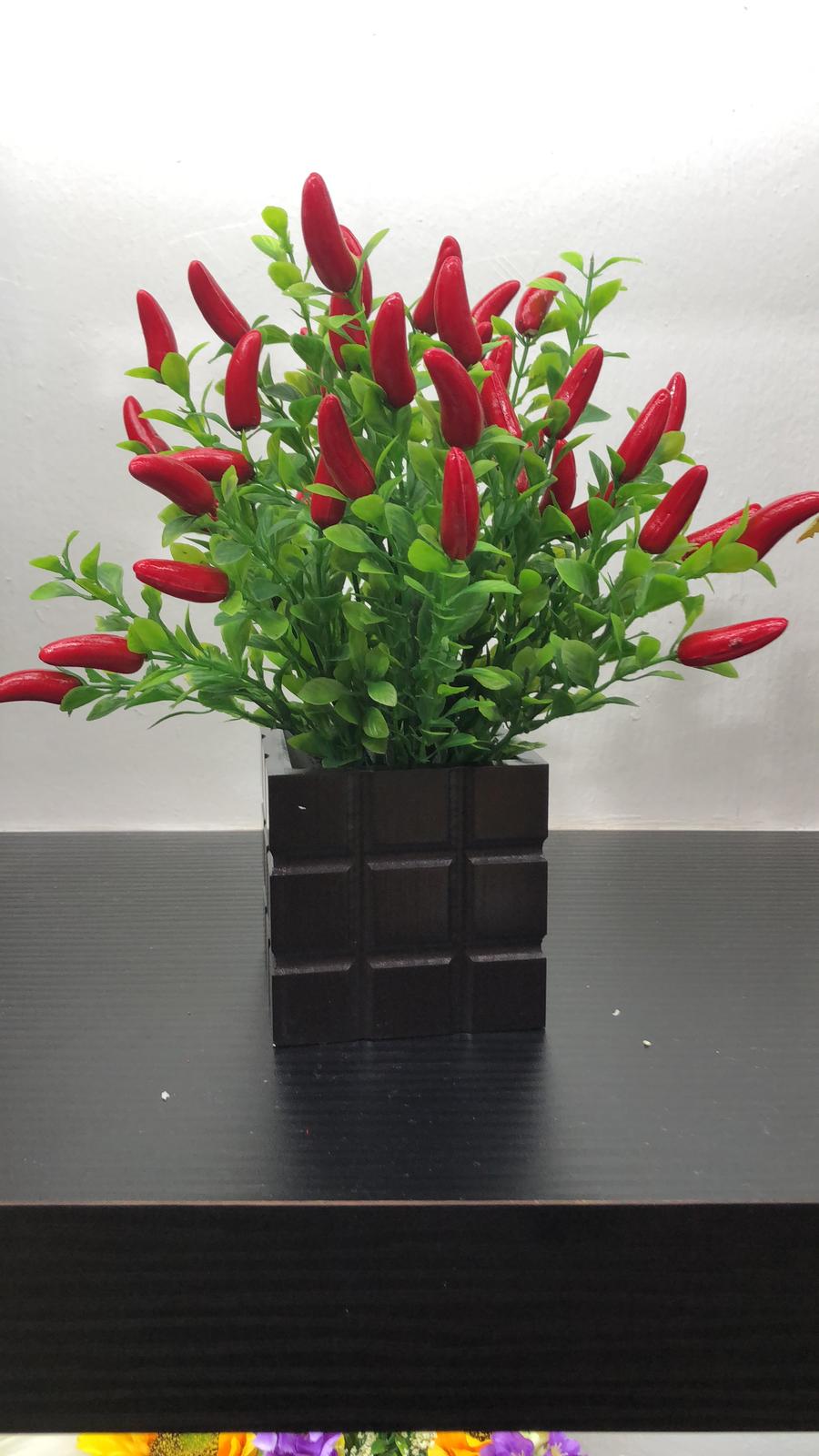 Plant Chilli Padi mini plant, home decor, garden, events, flower, flowers decoration Afoil074