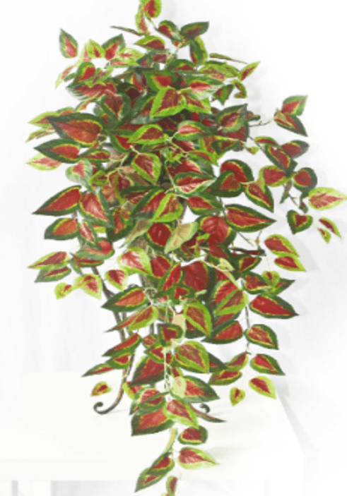 Artificial hanging wall plant by Alton Flowers with small faux potted design, ideal for home decoration and wall accents.