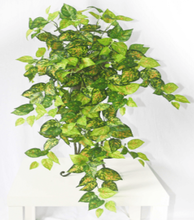 Artificial hanging wall plant by Alton Flowers with small faux potted greenery, ideal for home decoration.