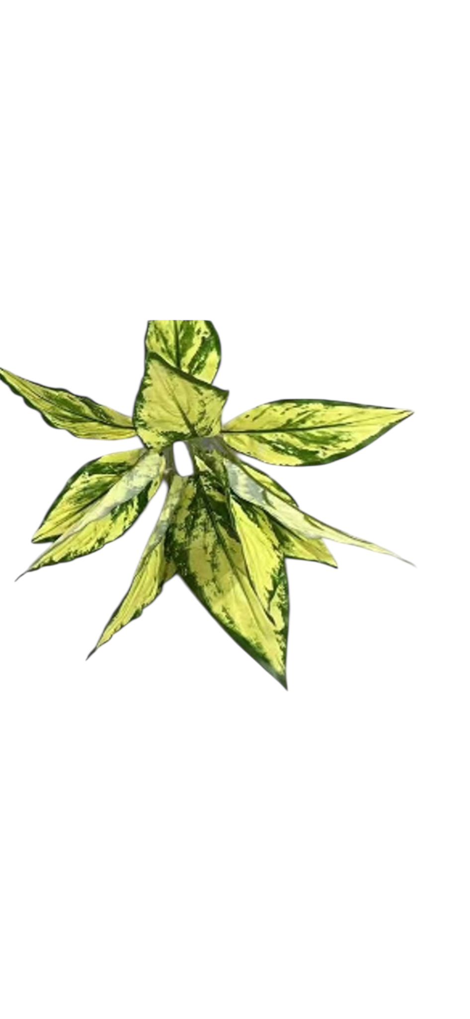 Plant Artificial Small Bush, home decor, garden, events Afoil134