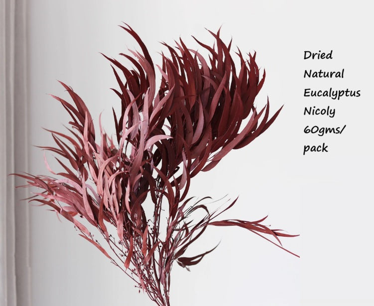 Dried Red Eucalyptus leaves with product details on a light gray background