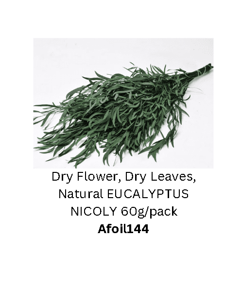 Dry Flower, Dry Leaves, Natural EUCALYPTUS NICOLY 60g/pack Afoil144