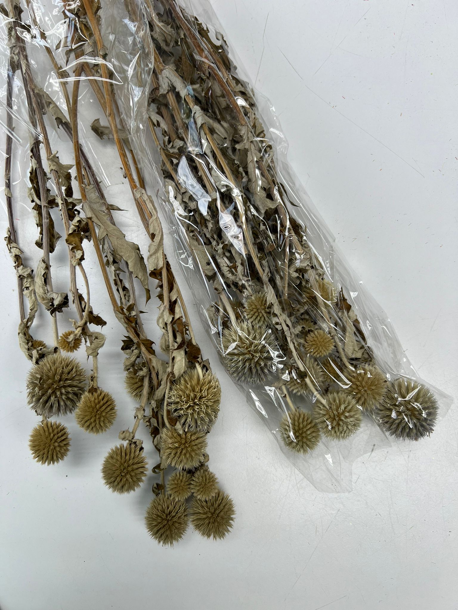 Natural Dried Echinops Globe Thistle (55g) Dried Flower Decoration Afoil145