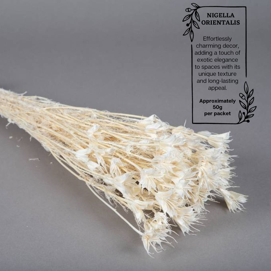 Dried Nigella Orientalis