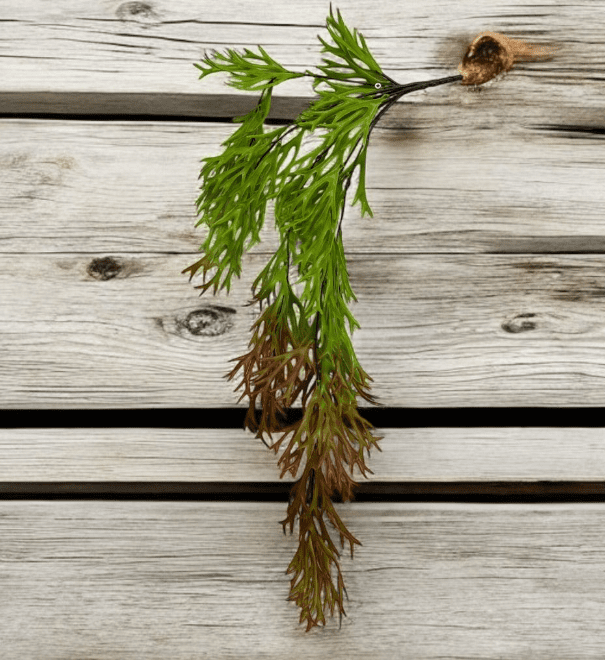 Artificial Plants, Shrubs, Foilages for Home decor, events, offices, Afoil175