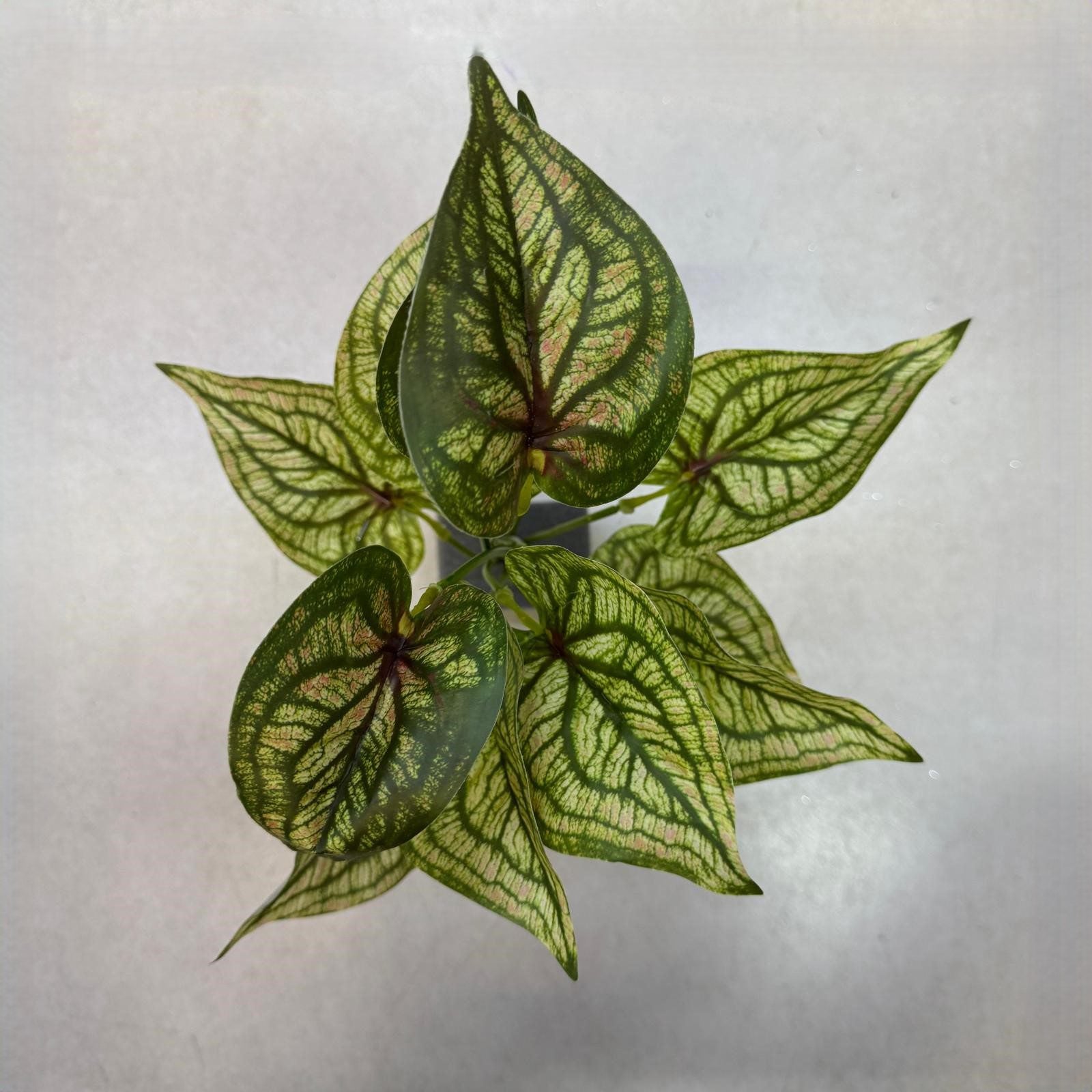 Artificial Plants, Shrubs, Foilages for Home decor, events, offices, Afoil177