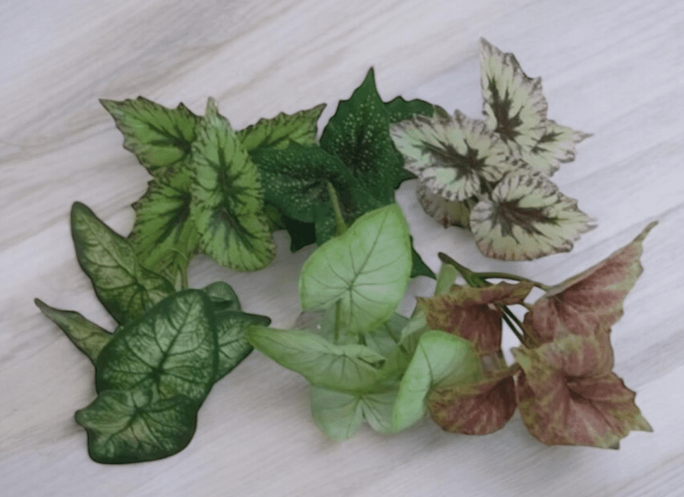 Artificial Plants, Shrubs, Foilages for Home decor, events, offices, Afoil179