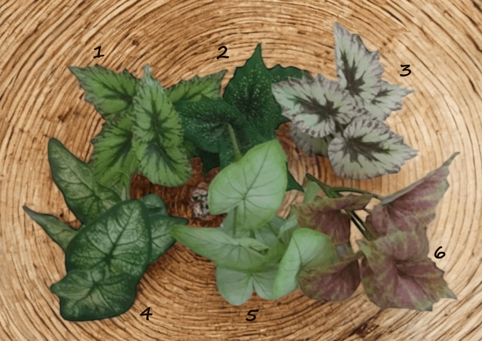 Artificial Plants, Shrubs, Foilages for Home decor, events, offices, Afoil179