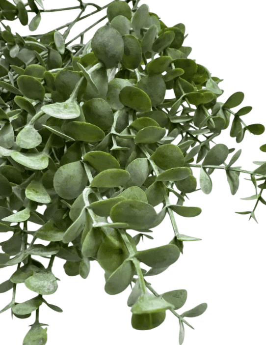 Artificial Plants, Shrubs, Foilages for Home decor, events, offices, Afoil186