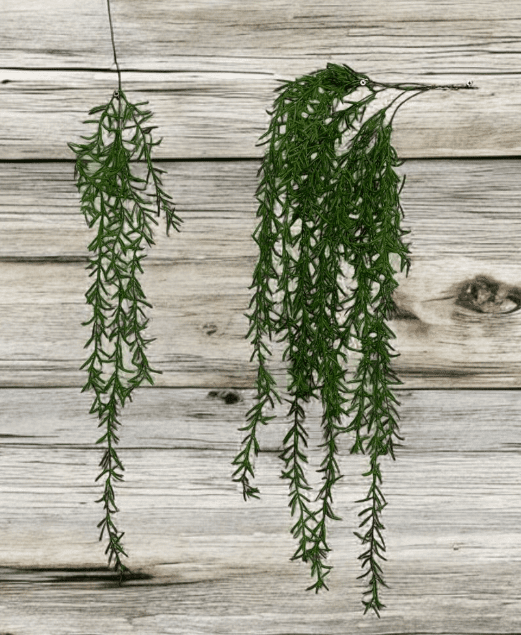 Artificial Plants, Shrubs, Foilages for Home decor, events, offices, Afoil189