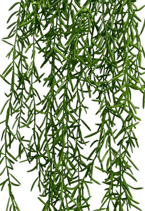 Artificial Plants, Shrubs, Foilages for Home decor, events, offices, Afoil189