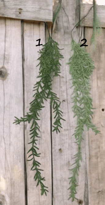 Artificial Plants, Shrubs, Foilages for Home decor, events, offices, Afoil189