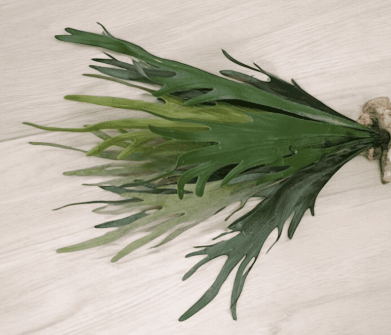 Artificial Plants, Shrubs, Foilages for Home decor, events, offices, Afoil203