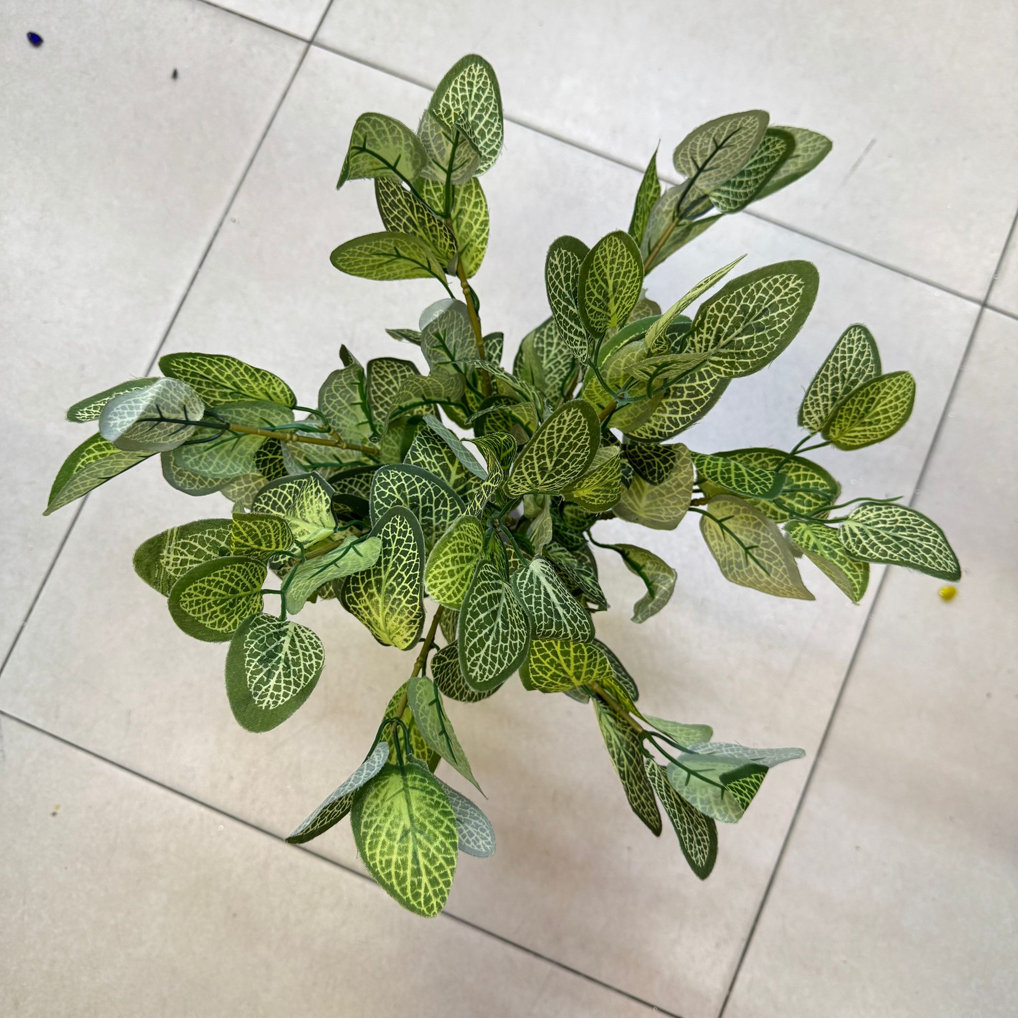Artificial Fittonia Leaf Bush – 40cm Faux Greenery for Home & Décor Afoil218