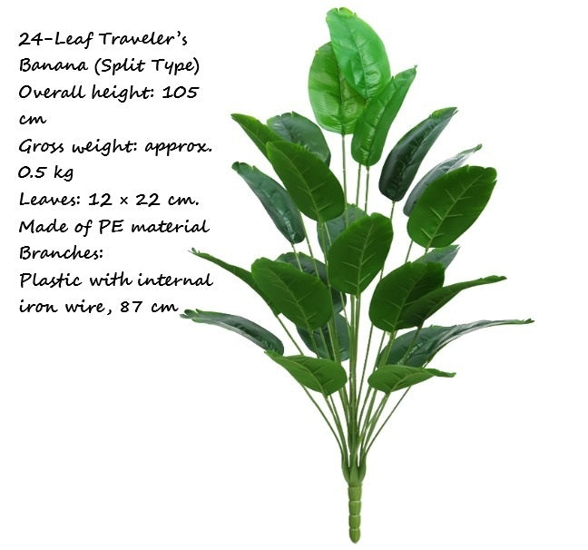 24-Leaf Traveler’s Banana (Split Type) Afoil255-1