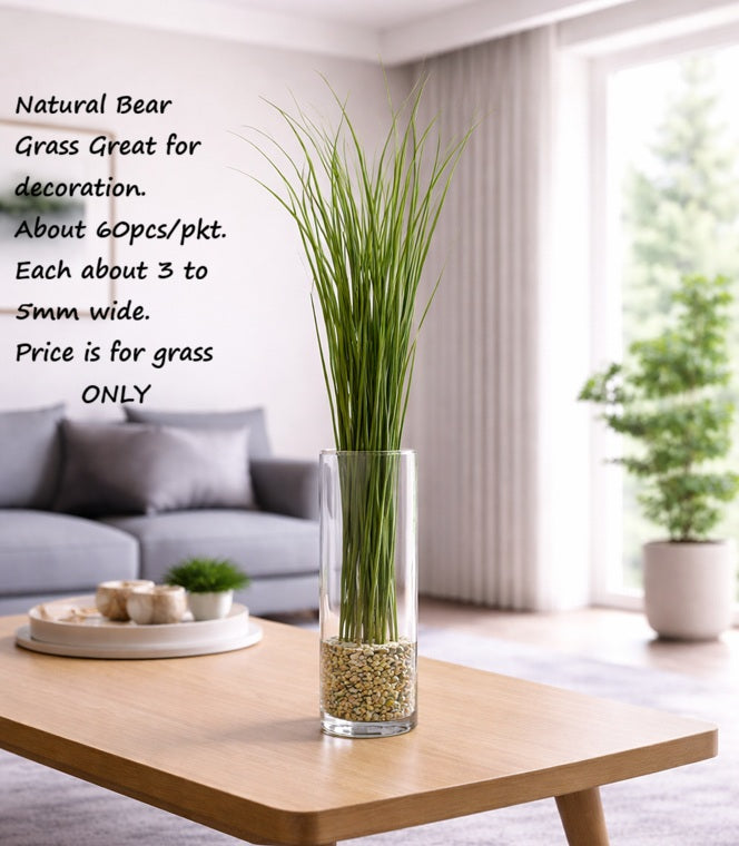 Natural Bear Grass Dry Leaves | Dry Flowers | Dried Leaves Afoil276-1