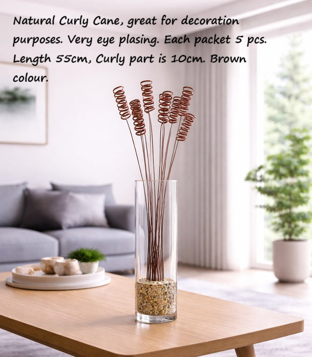 Natural Curly Cane | Dry Flowers | Dried Leaves Afoil276-3