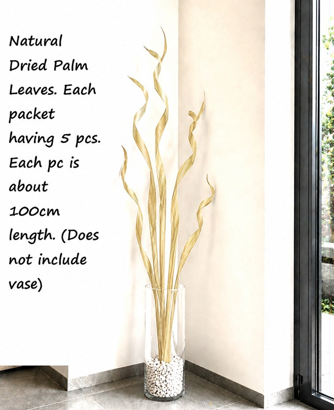 Natural Dried Palm leaves