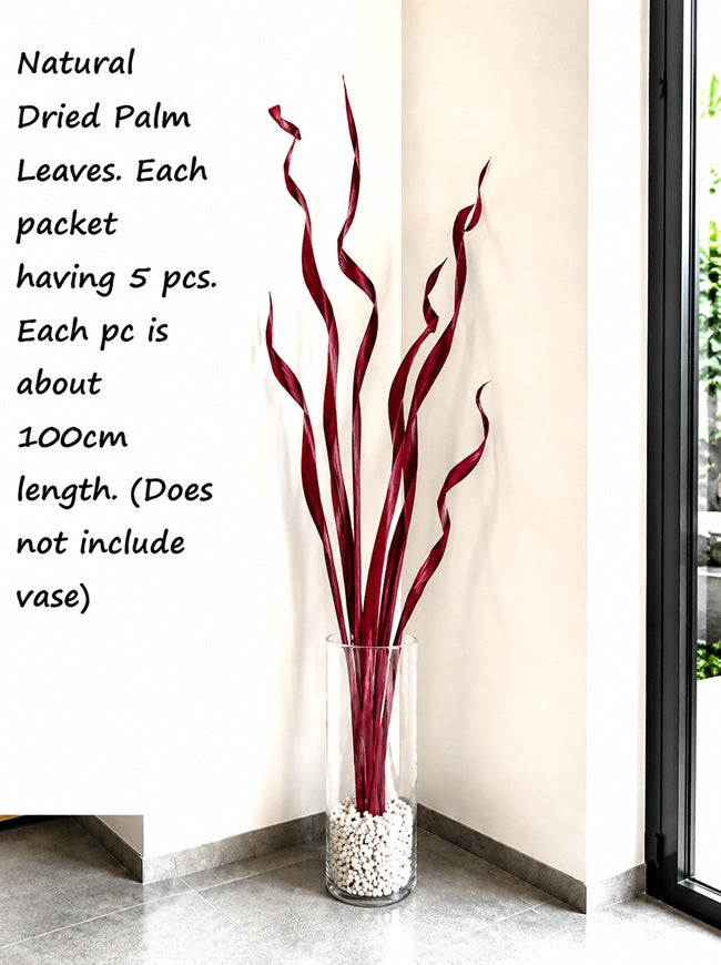 Natural Dried Palm leaves