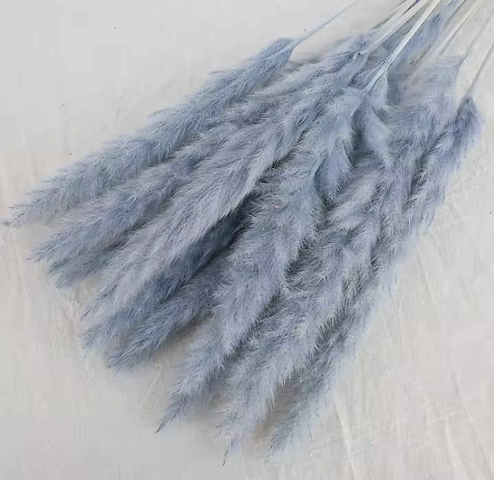 (Mini) 15stalks Naturally Dried Pampas Grass 70cm Home Decoration Flower Arrangement Reed Bouquet Birthday Gift